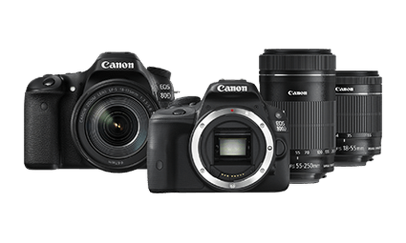 DSLR Fotoğraf Makineleri